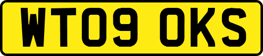 WT09OKS