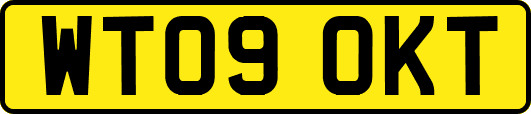 WT09OKT
