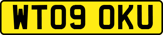 WT09OKU