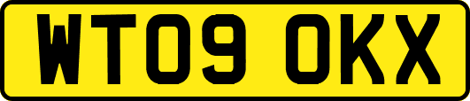 WT09OKX