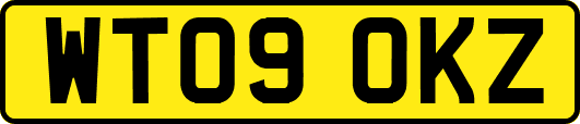 WT09OKZ