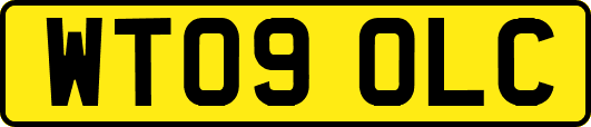 WT09OLC