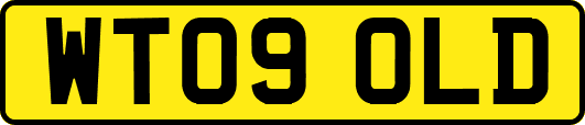 WT09OLD