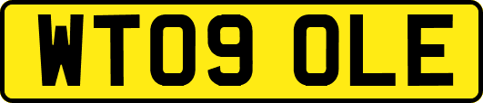 WT09OLE