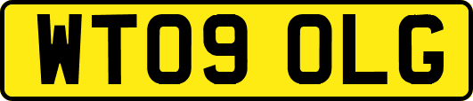 WT09OLG