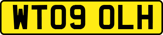 WT09OLH