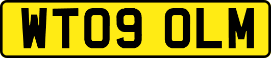 WT09OLM