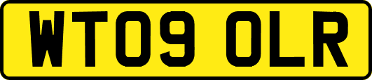 WT09OLR