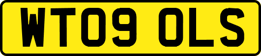 WT09OLS