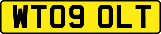 WT09OLT