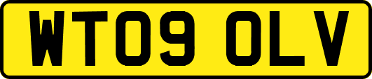 WT09OLV