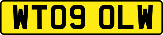 WT09OLW