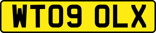 WT09OLX