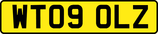 WT09OLZ
