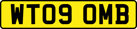 WT09OMB