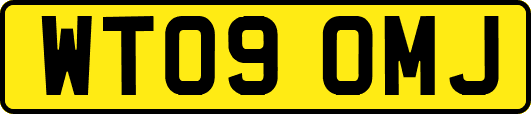 WT09OMJ