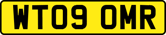 WT09OMR