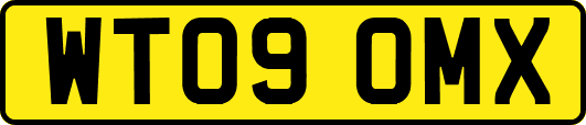 WT09OMX