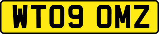 WT09OMZ