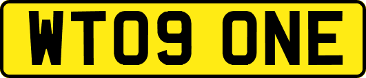 WT09ONE