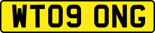 WT09ONG
