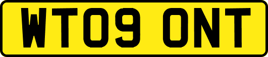 WT09ONT