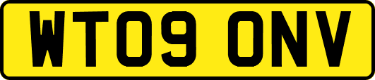 WT09ONV