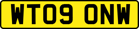 WT09ONW