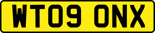 WT09ONX