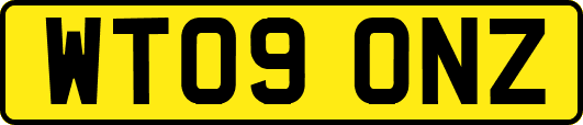 WT09ONZ