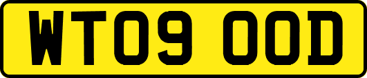 WT09OOD