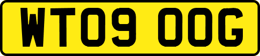 WT09OOG