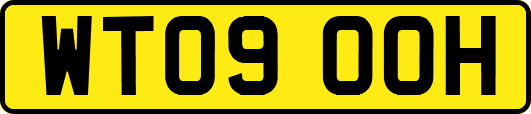 WT09OOH