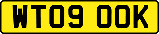 WT09OOK