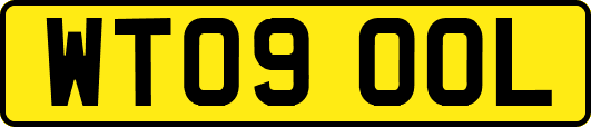 WT09OOL