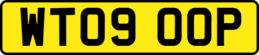 WT09OOP
