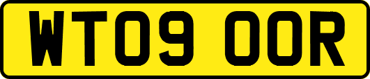 WT09OOR