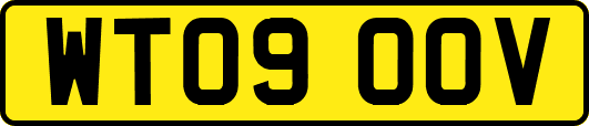 WT09OOV