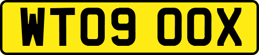 WT09OOX