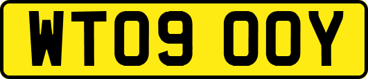 WT09OOY