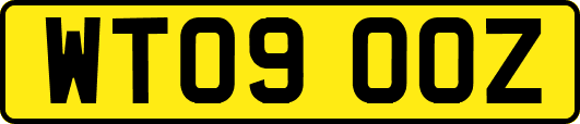 WT09OOZ