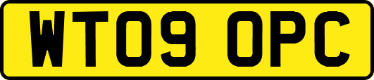 WT09OPC