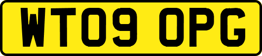 WT09OPG