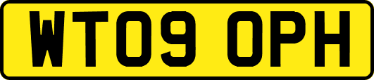 WT09OPH