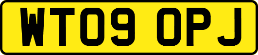 WT09OPJ
