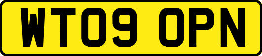 WT09OPN