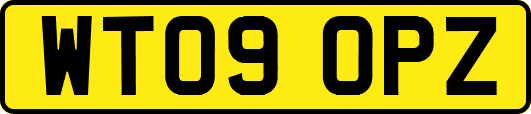 WT09OPZ