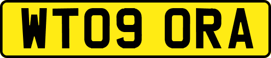 WT09ORA