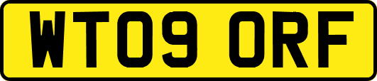 WT09ORF