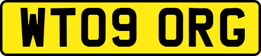 WT09ORG